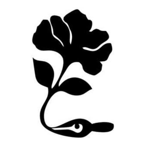 انتشارات جاودان خرد